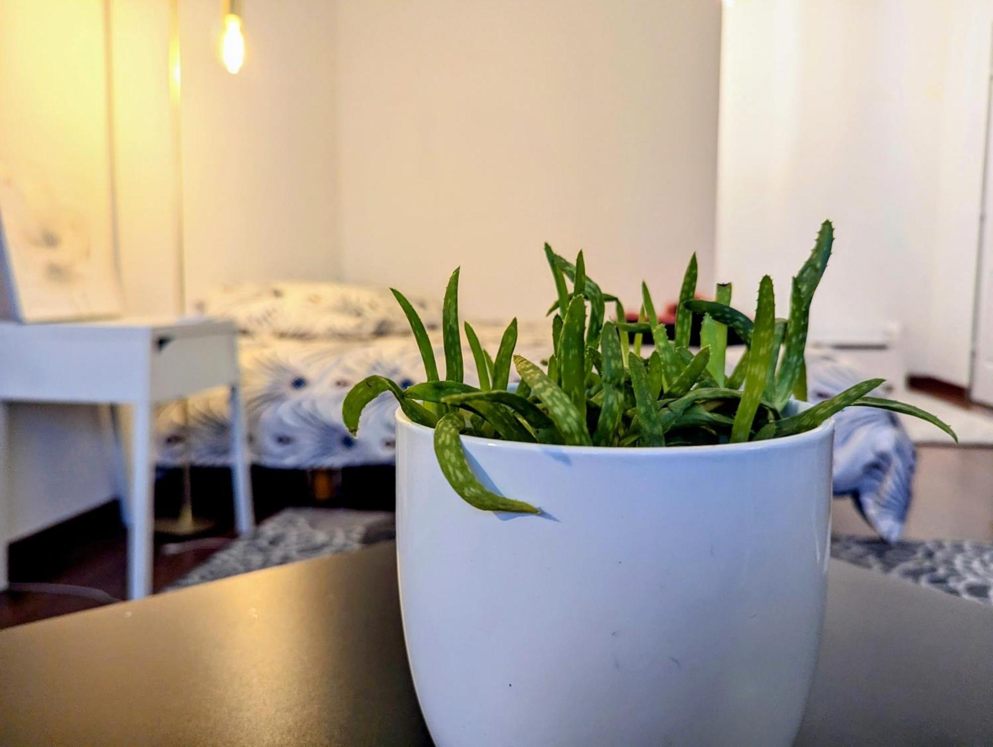 Chez Les P'Tits Loups Apartman Strasbourg Kültér fotó