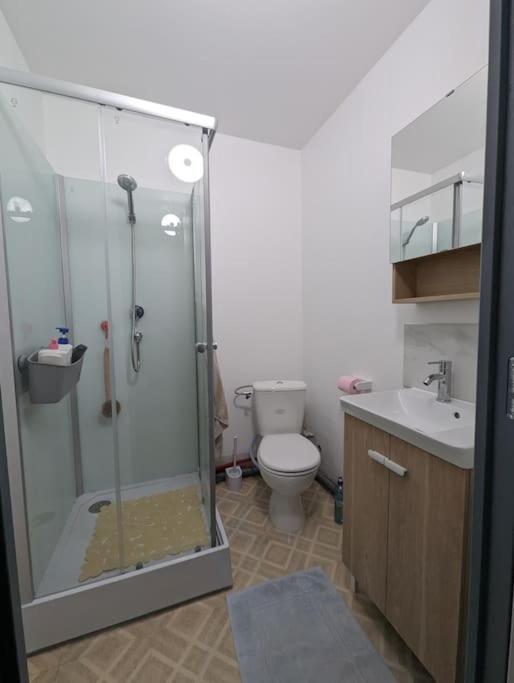 Chez Les P'Tits Loups Apartman Strasbourg Kültér fotó